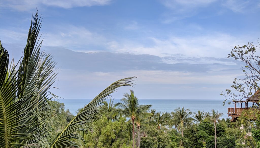 img 20180122 173005 copy